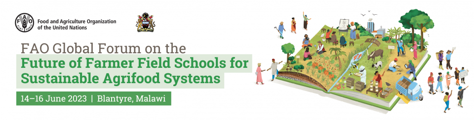 Global Forum on the future of farmer field schools for sustainable agrifood systems